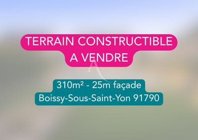 /international/fr/boissy-sous-saint-yon-ile-de-france-310106967617/