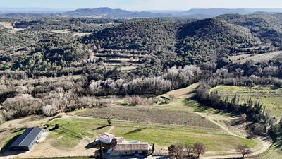 /international/fr/saint-alexandre-languedoc-roussillon-310105517815/