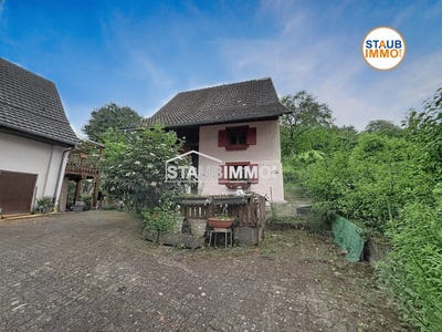 /international/fr/winkel-alsace-310108704168/?lang=pt