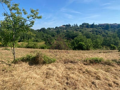/international/fr/saint-paul-le-jeune-rhone-310100576618/
