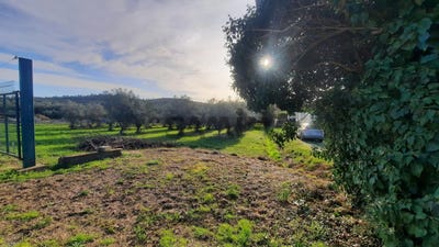/international/fr/quissac-languedoc-roussillon-310105749395/