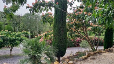 /international/fr/roujan-languedoc-roussillon-310100606864/?lang=zh-tw