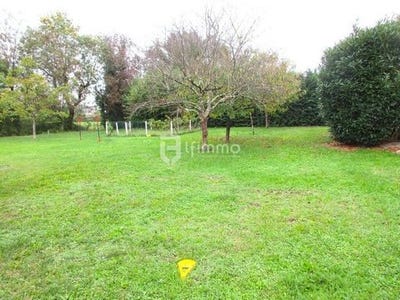 /international/fr/ambares-et-lagrave-aquitaine-310099285125/