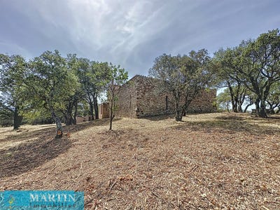 /international/fr/vives-languedoc-roussillon-310108248953/