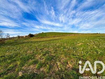 /international/fr/limoux-languedoc-roussillon-310106966147/
