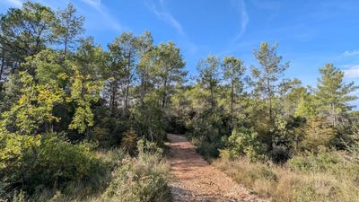 /international/fr/carces-provence-alpes-cote-d-azur-120094942274/