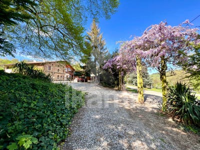 /international/fr/marges-rhone-120092379138/