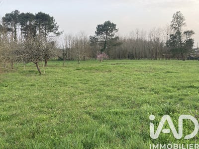 /international/fr/landiras-aquitaine-310106413289/