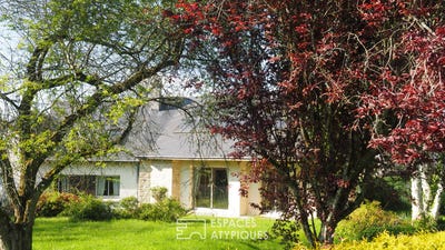 /international/fr/carhaix-plouguer-brittany-310104775537/
