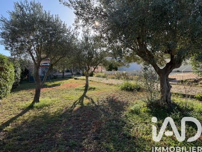 /international/fr/pia-corsica-310106686197/