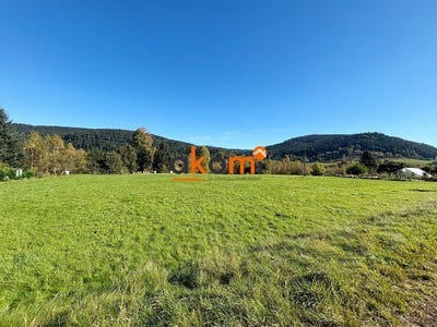 /international/fr/gerardmer-lorraine-310108601714/