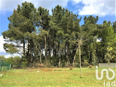 /international/fr/bussac-foret-charente-310107018856/