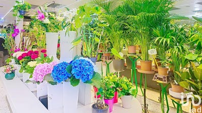 /international/fr/paris-ile-de-france-310102832349/