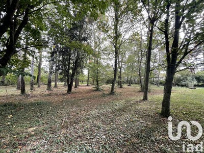 /international/fr/baziege-midi-pyrenees-310105234942/