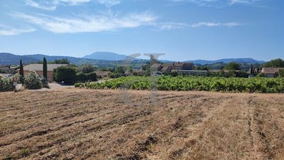 /international/fr/saint-maurice-sur-eygues-rhone-310100698534/