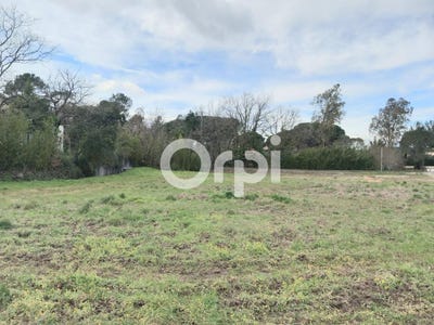 /international/fr/puget-sur-argens-provence-alpes-cote-d-azur-310107491378/