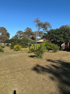 /international/fr/vendays-montalivet-aquitaine-310101414592/