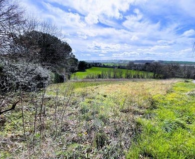 /international/fr/quint-fonsegrives-midi-pyrenees-310105820780/