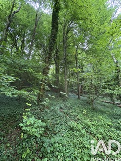 /international/fr/doullens-picardie-310107063736/