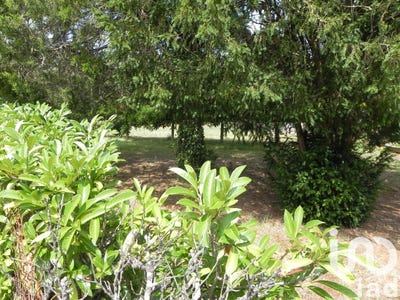 /international/fr/moustey-aquitaine-310099937681/