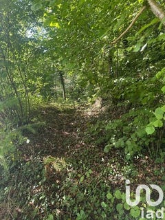 /international/fr/correze-limousin-310101203664/