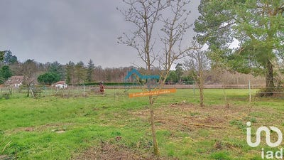/international/fr/dhuizon-centre-val-de-loire-310101277784/
