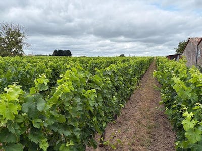 /international/fr/saint-emilion-aquitaine-310100697752/
