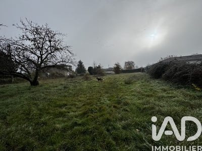 /international/fr/castelsarrasin-midi-pyrenees-310106776229/