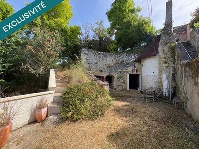 /international/fr/lussault-sur-loire-centre-val-de-loire-310105821906/