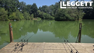 /international/fr/armaille-pays-de-la-loire-310108599268/