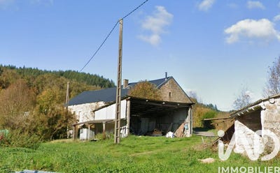 /international/fr/nedde-limousin-310103814776/