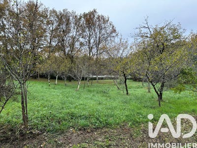 /international/fr/montauban-midi-pyrenees-310104774590/