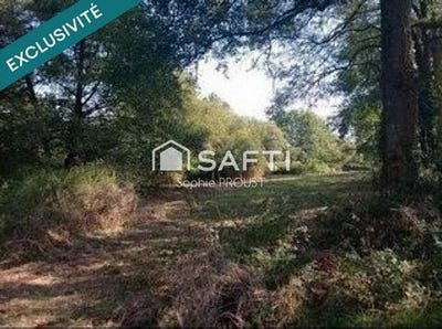 /international/fr/aubigny-les-clouzeaux-pays-de-la-loire-310100363624/