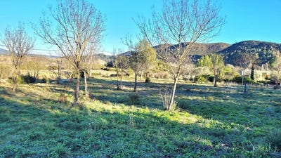 /international/fr/saint-chinian-languedoc-roussillon-310096699481/