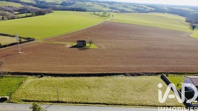 /international/fr/pampelonne-midi-pyrenees-310105058848/