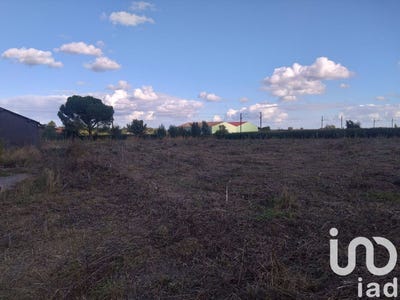 /international/fr/farbus-calais-310101561945/