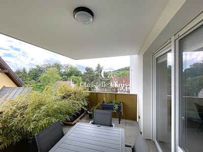 /international/fr/wolxheim-alsace-310101326354/?lang=zh-cn