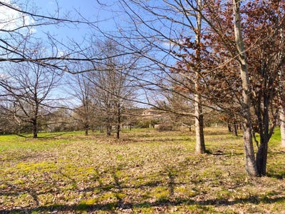 /international/fr/negrepelisse-midi-pyrenees-310107578279/