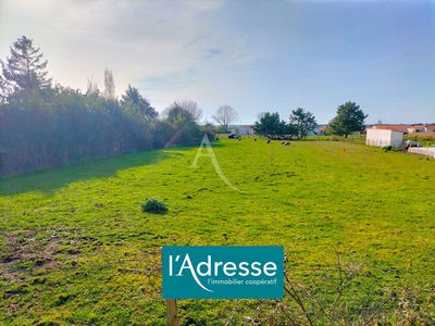 /international/fr/beauvoir-sur-mer-pays-de-la-loire-310104471414/
