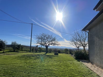 /international/fr/carbonne-midi-pyrenees-310106290231/