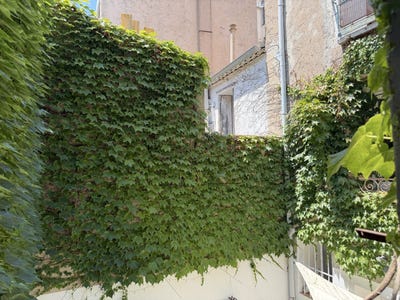 /international/fr/sete-languedoc-roussillon-310109130100/?lang=fr