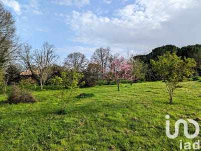 /international/fr/saint-seurin-sur-l-isle-aquitaine-310100697975/