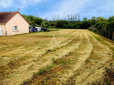 /international/fr/saint-georges-sur-cher-centre-val-de-loire-310104465029/