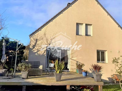 /international/fr/agneaux-la-basse-normandie-310101230523/?lang=zh-cn