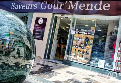 /international/fr/mende-languedoc-roussillon-310104143615/
