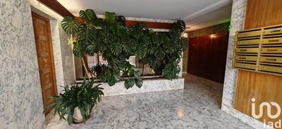 /international/fr/perpignan-languedoc-roussillon-310098144477/
