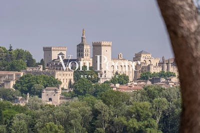 /international/fr/villeneuve-les-avignon-languedoc-roussillon-310104466767/