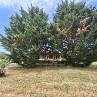 /international/fr/montredon-labessonnie-midi-pyrenees-310108994432/