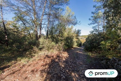 /international/fr/le-cannet-des-maures-provence-alpes-cote-d-azur-310103175890/