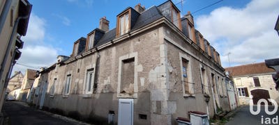 /international/fr/selles-sur-cher-centre-val-de-loire-310100858597/